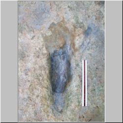 100_1311(07-30-2009p) mod.JPG